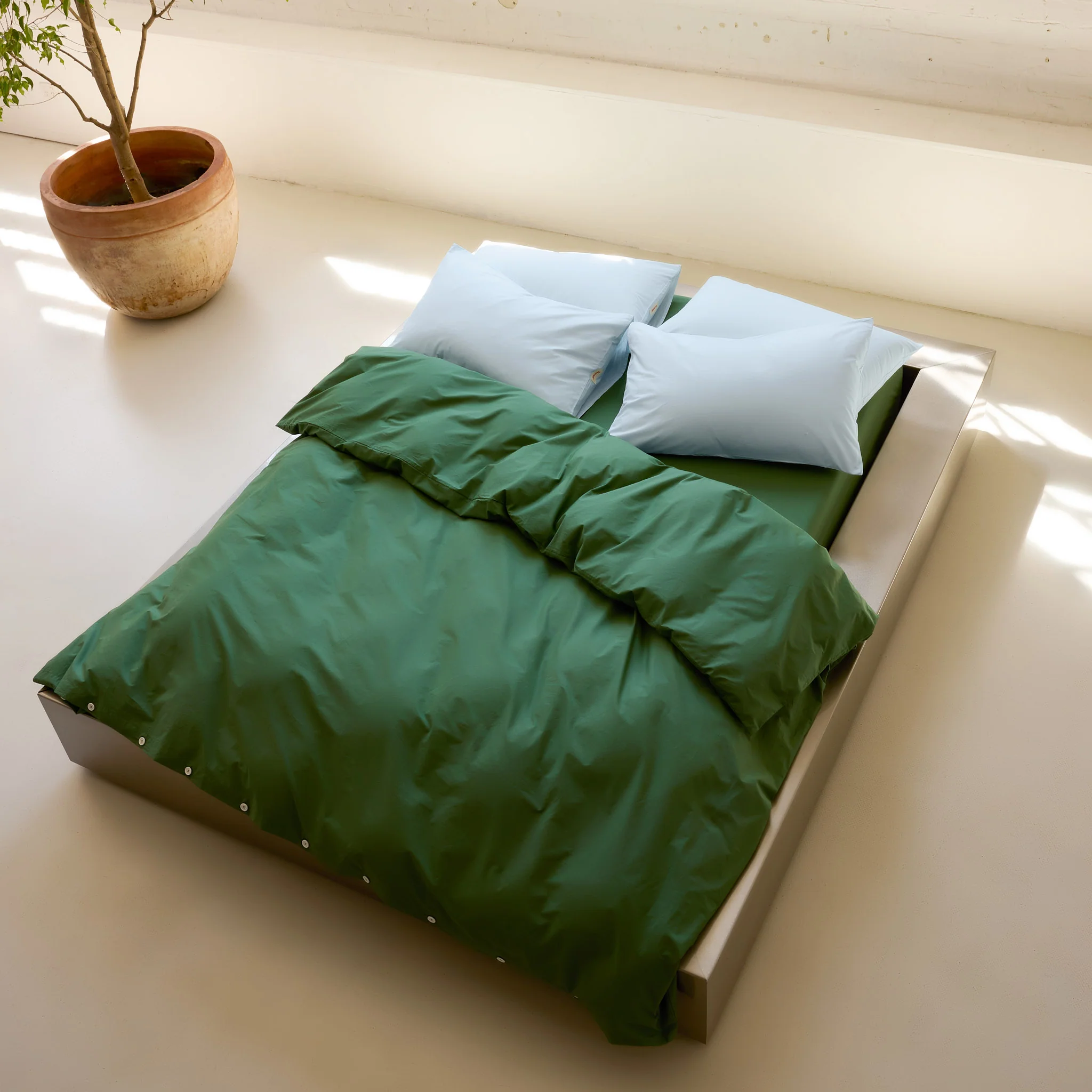 Combos in Forest Green